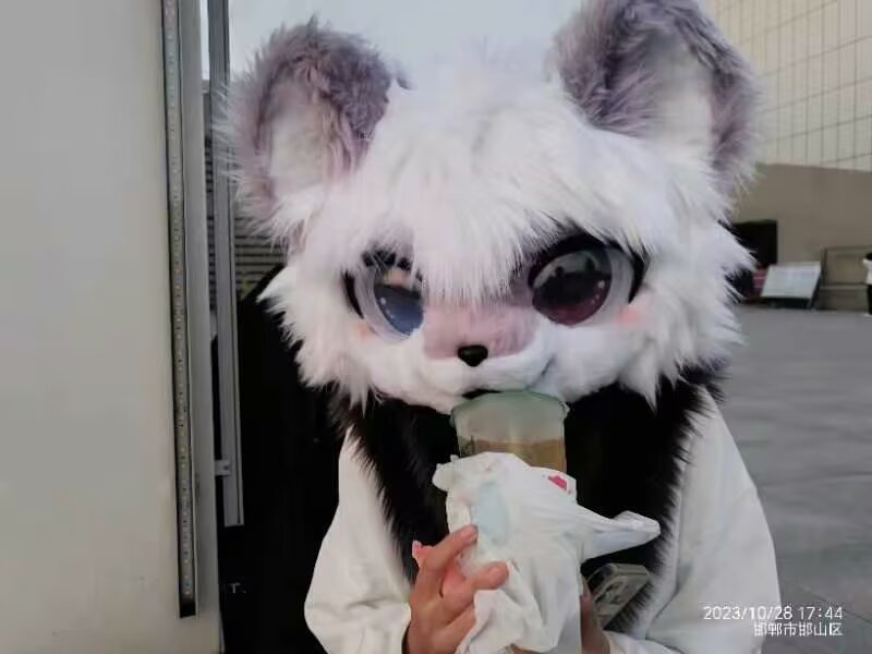 水母